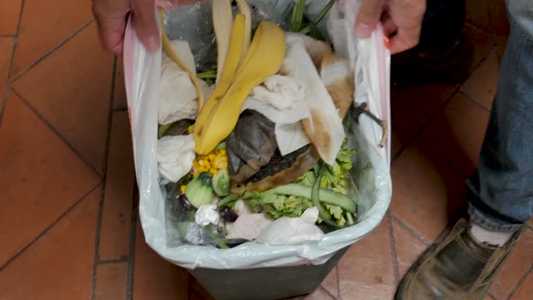 Best Recycling Services for Junk  in Kamas, UT
